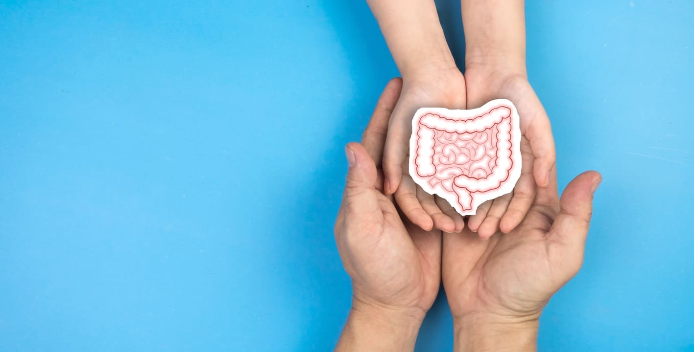 Healthy large intestine